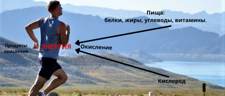Жизненная энергия