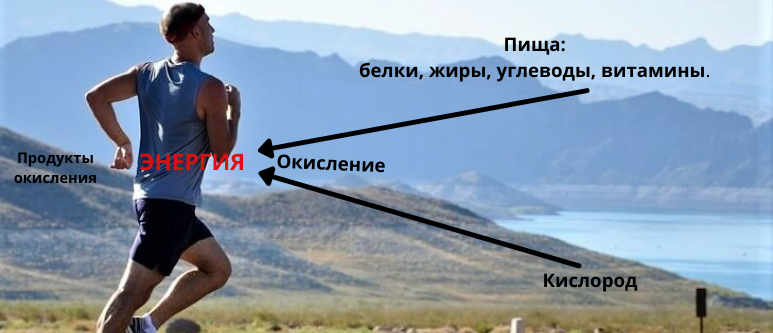 Жизненная энергия