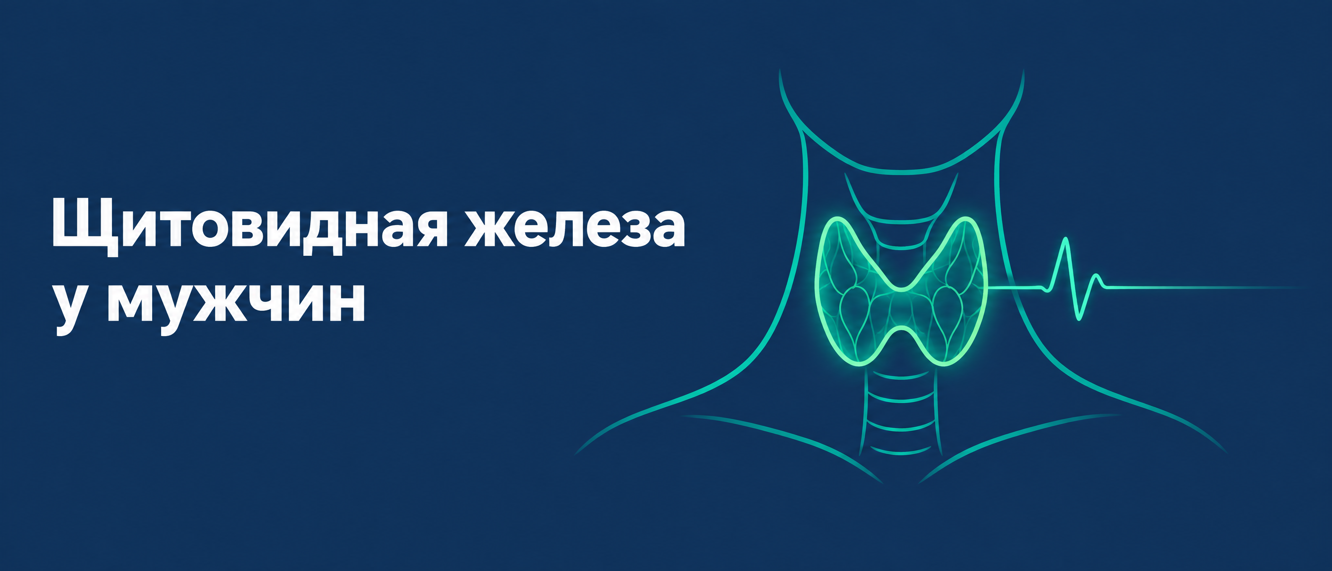 Щитовидная железа у мужчин – информация от уролога